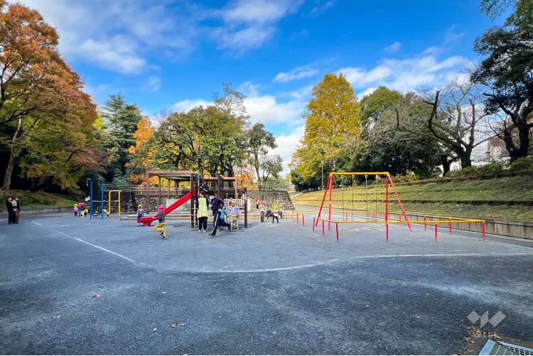 江古田の森公園の写真