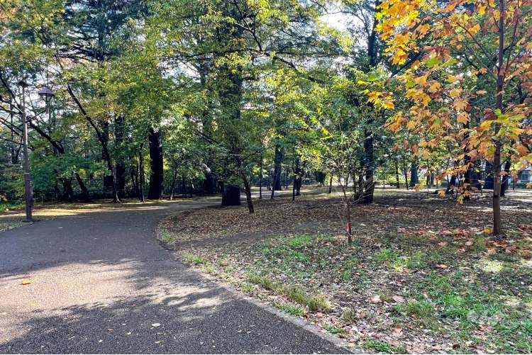 江古田の森公園の写真