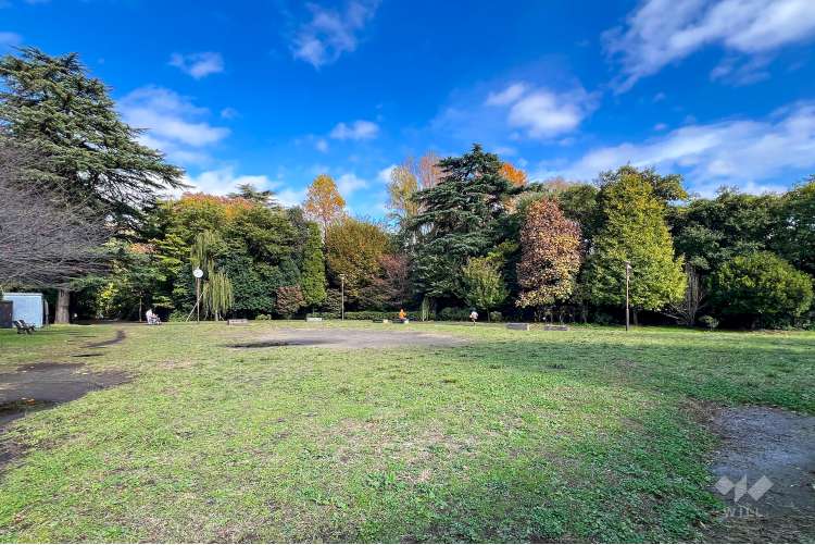 江古田の森公園の写真