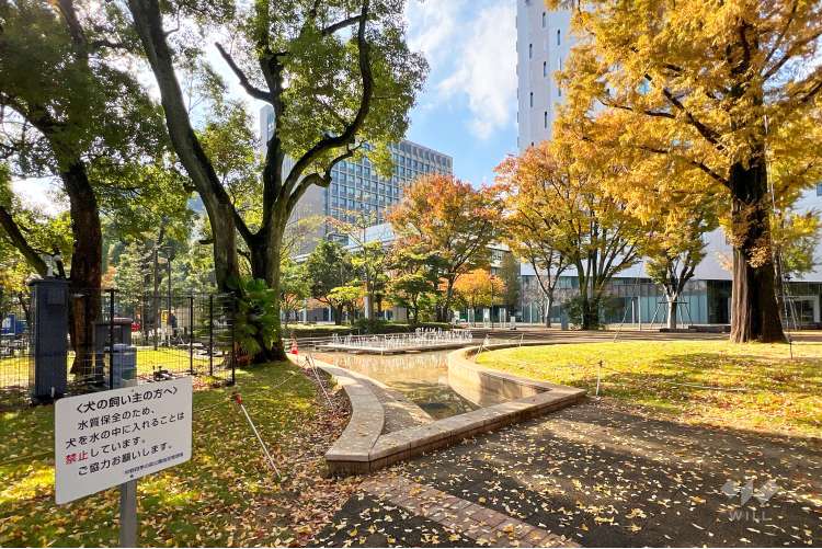 中野四季の森公園の写真