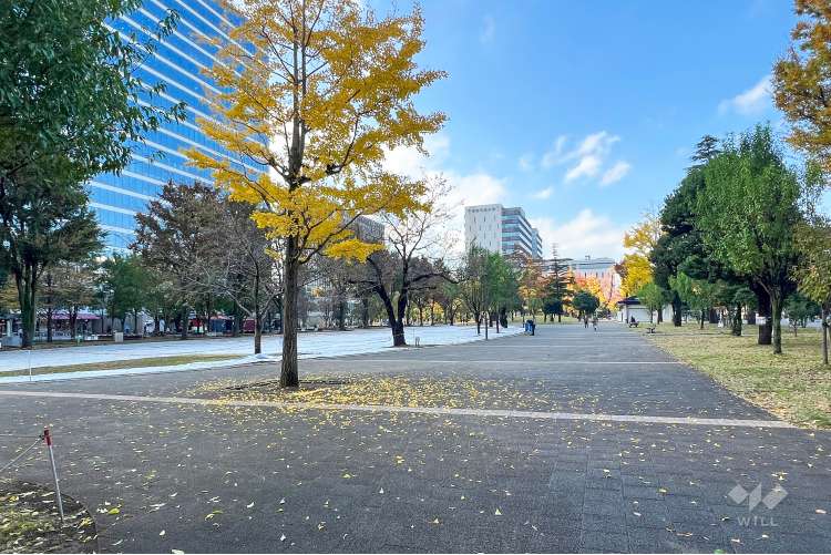 中野四季の森公園の写真