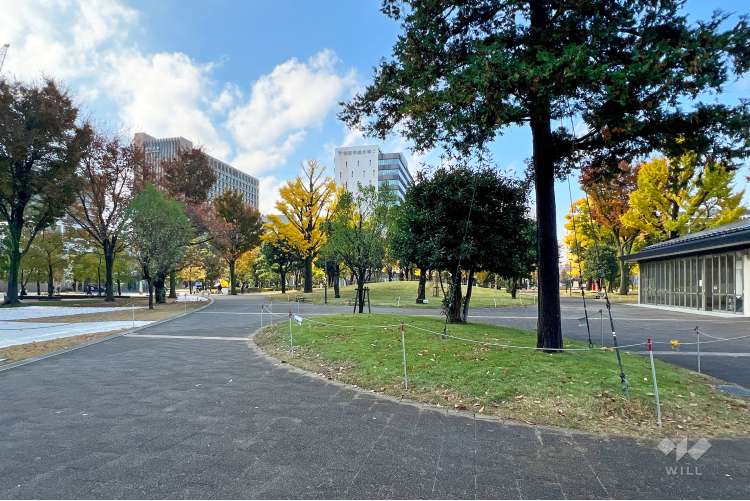 中野四季の森公園の写真