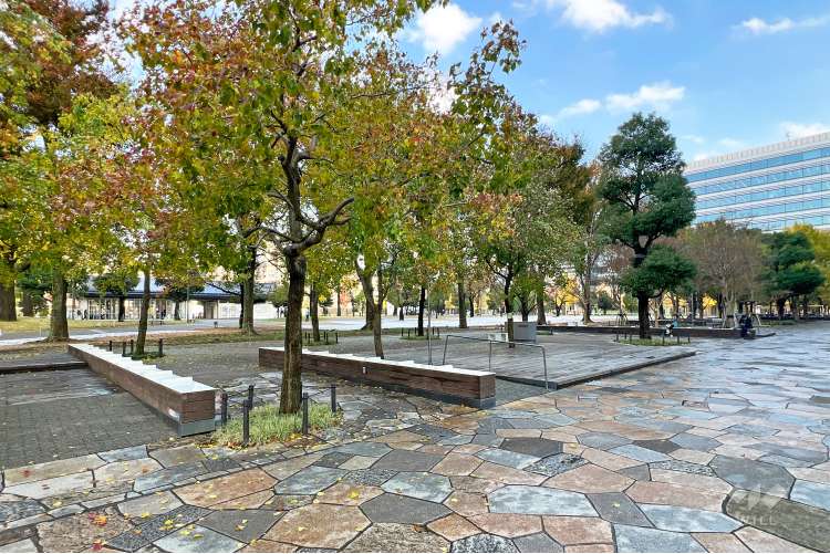 中野四季の森公園の写真