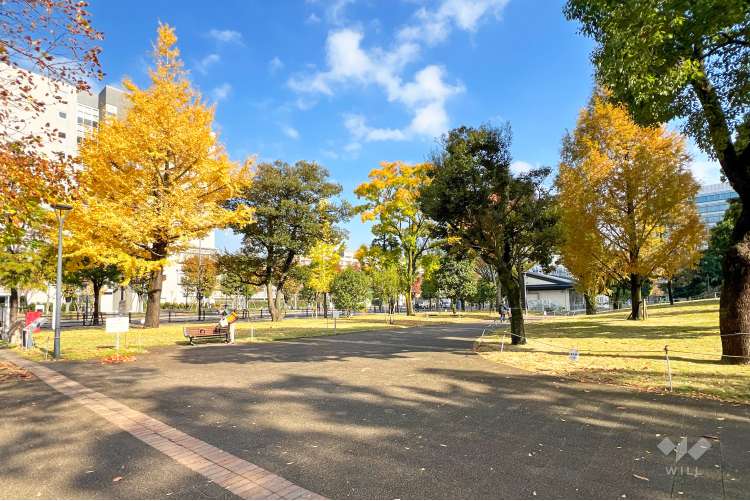 中野四季の森公園の写真