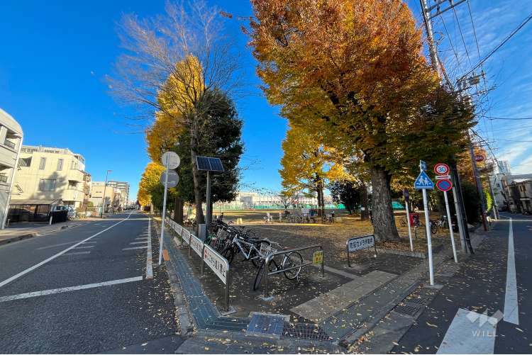 南台いちょう公園の写真