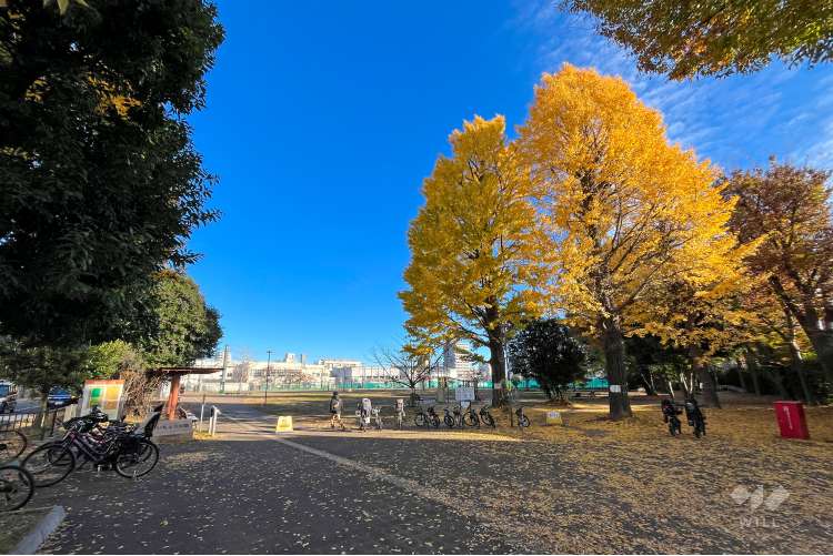 南台いちょう公園の写真