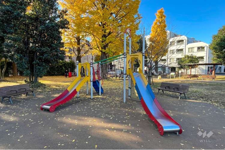 南台いちょう公園の写真