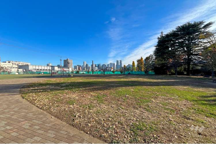 南台いちょう公園の写真