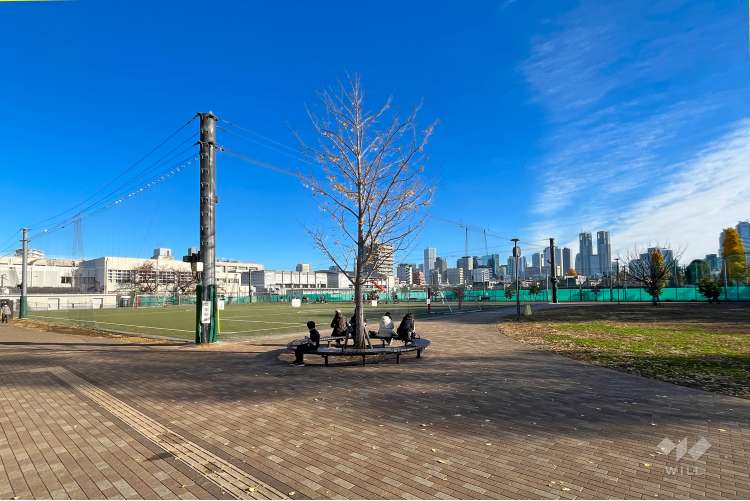 南台いちょう公園の写真