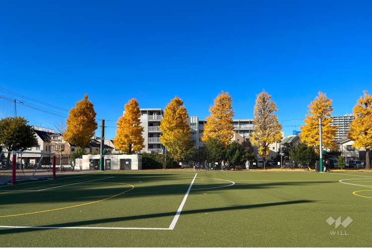 南台いちょう公園の写真