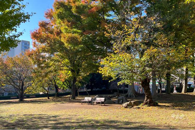 本五ふれあい公園の写真