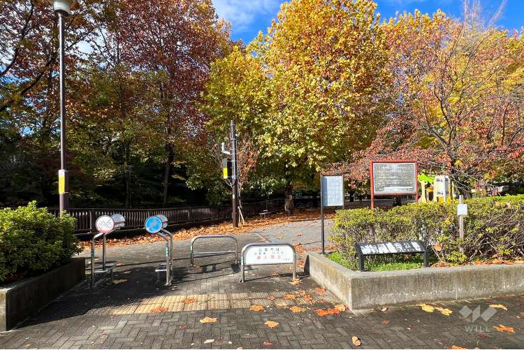 江古田公園の写真