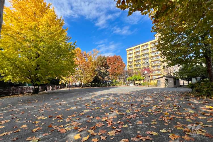 江古田公園の写真