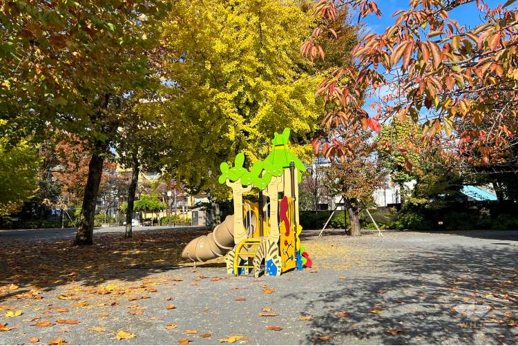 江古田公園の写真