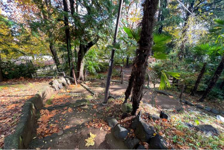 江古田公園の写真