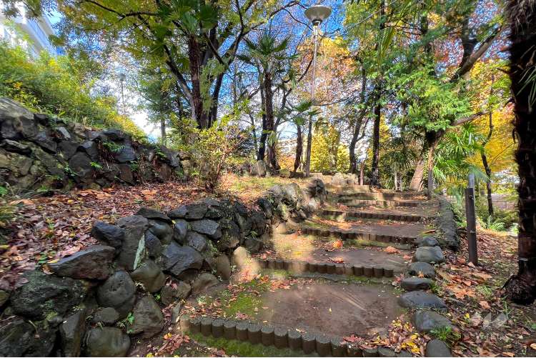 江古田公園の写真