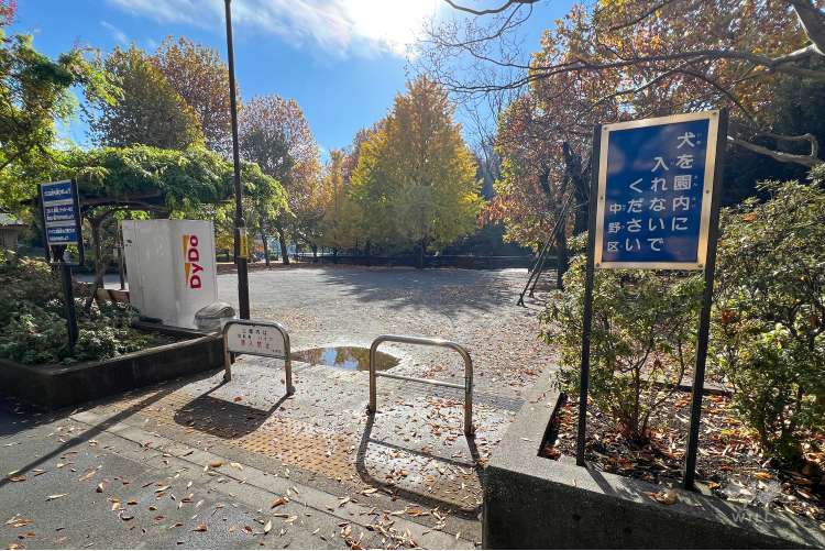 江古田公園の写真