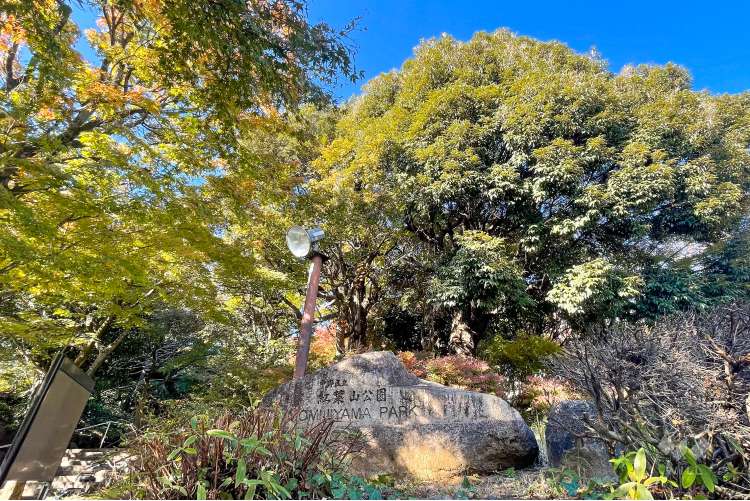 紅葉山公園の写真