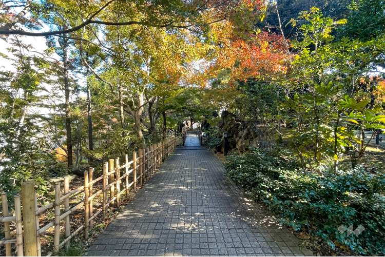 紅葉山公園の写真