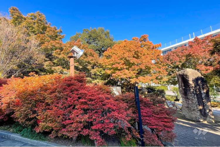 紅葉山公園の写真