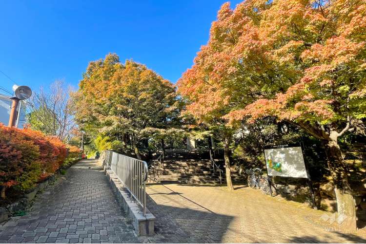 紅葉山公園の写真
