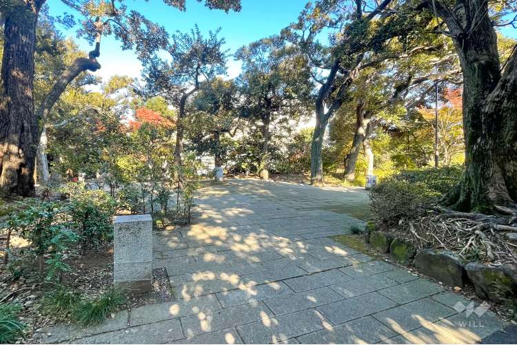 紅葉山公園の写真