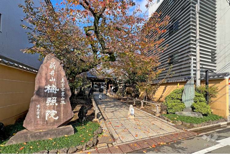 梅照院（新井薬師）の写真