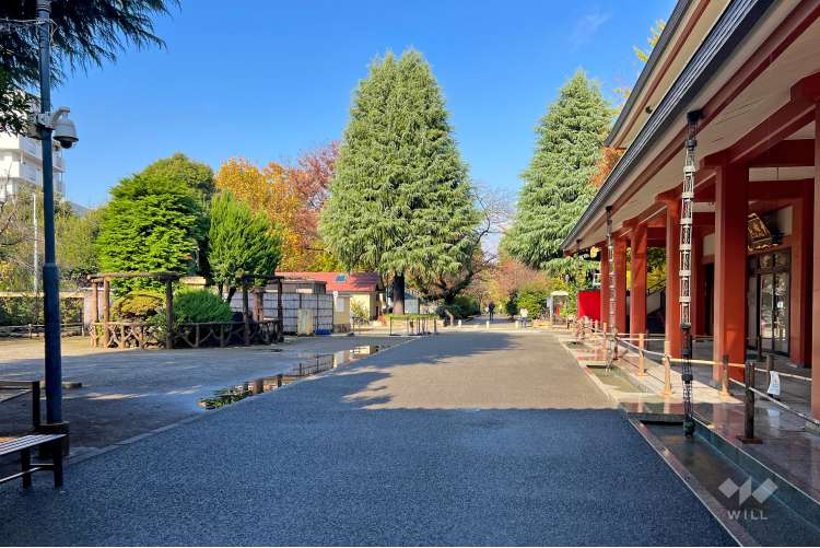 梅照院（新井薬師）の写真
