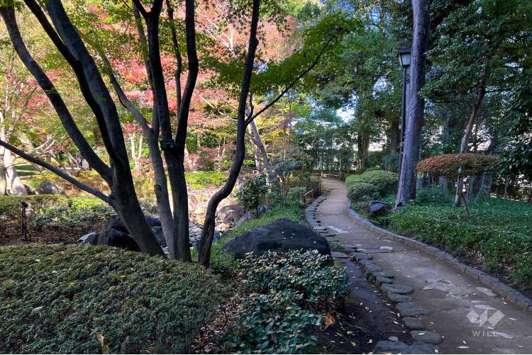 大田黒公園の写真