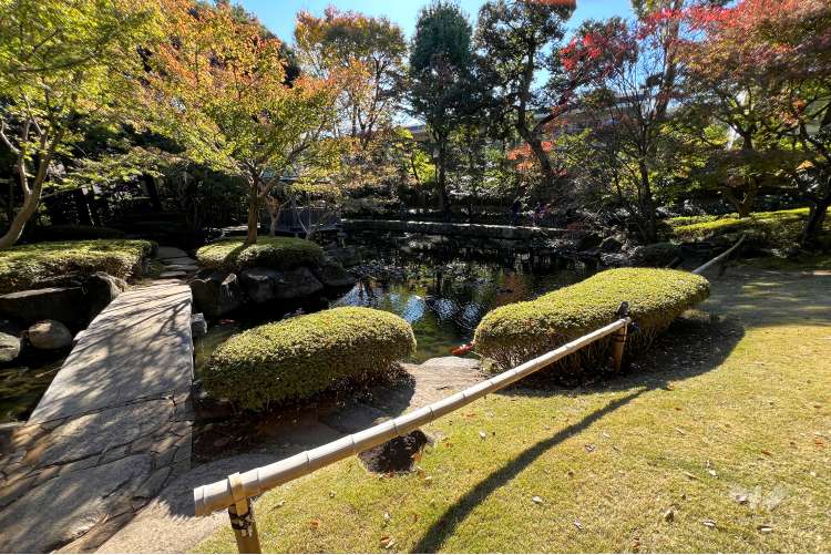 大田黒公園の写真