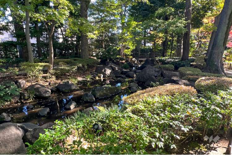 大田黒公園の写真