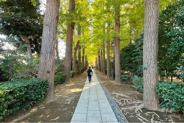 大田黒公園の写真