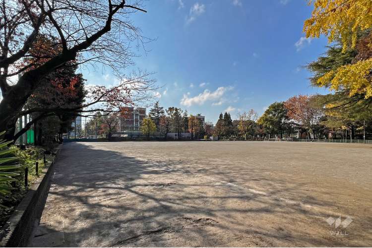 馬橋公園の写真