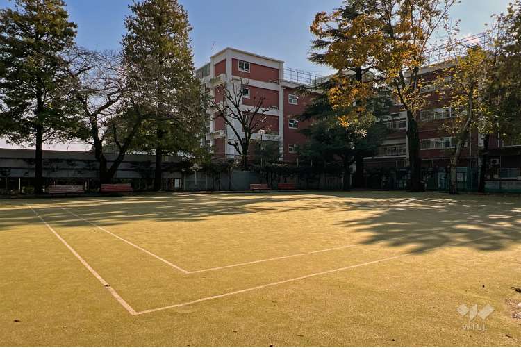 馬橋公園の写真