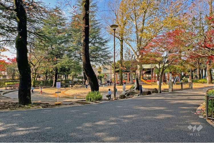 馬橋公園の写真