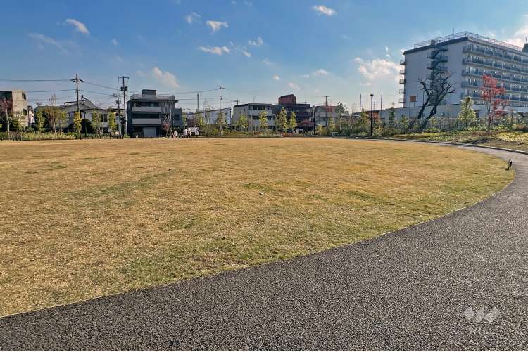 馬橋公園の写真