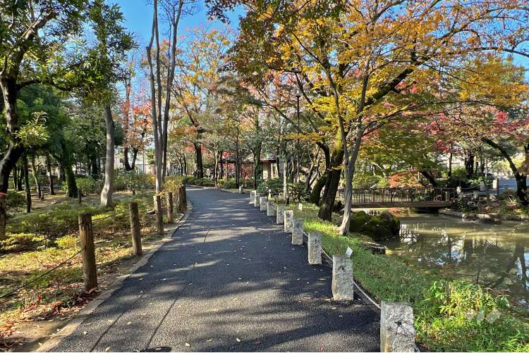 馬橋公園の写真