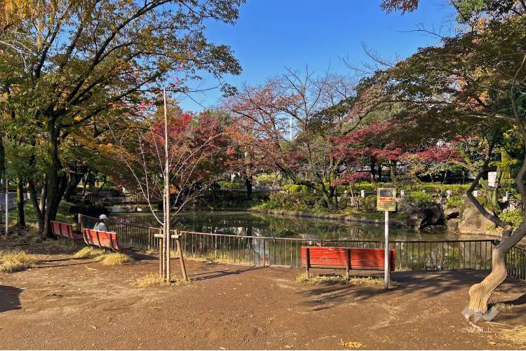 馬橋公園の写真