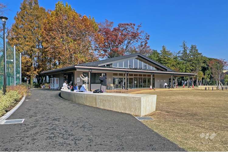 馬橋公園の写真