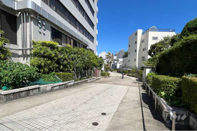 桃園川緑道の写真