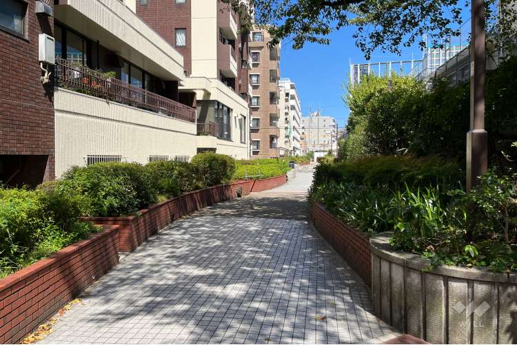 桃園川緑道の写真