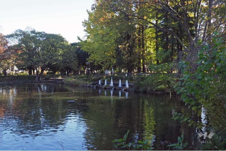 妙正寺公園の写真