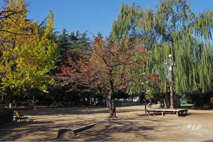 妙正寺公園の写真
