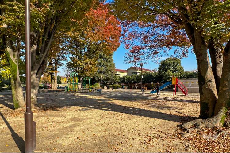 下高井戸おおぞら公園の写真