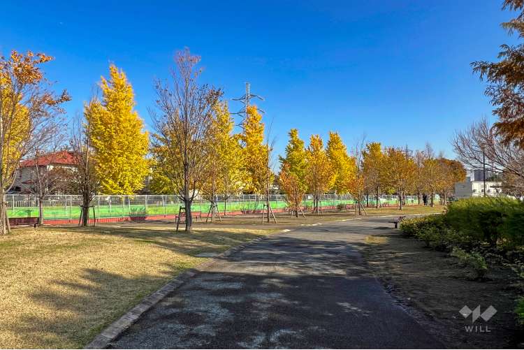 下高井戸おおぞら公園の写真