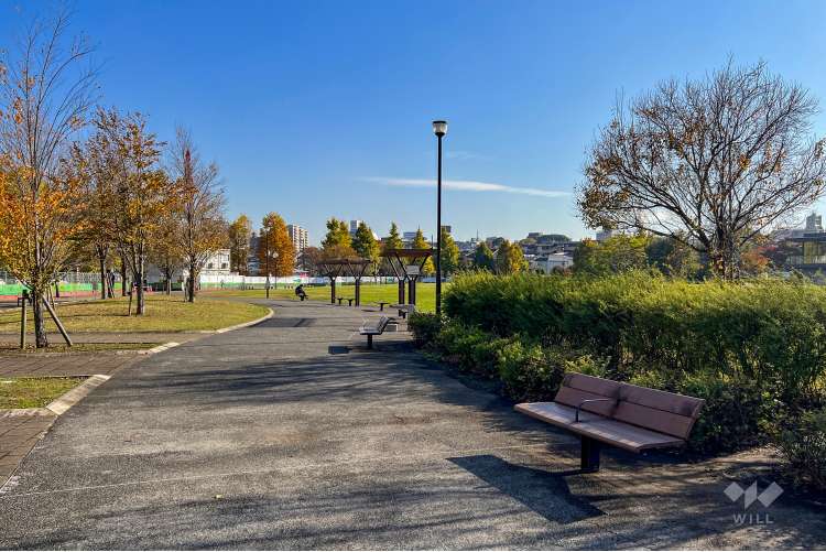 下高井戸おおぞら公園の写真