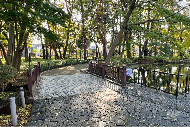 塚山公園の写真