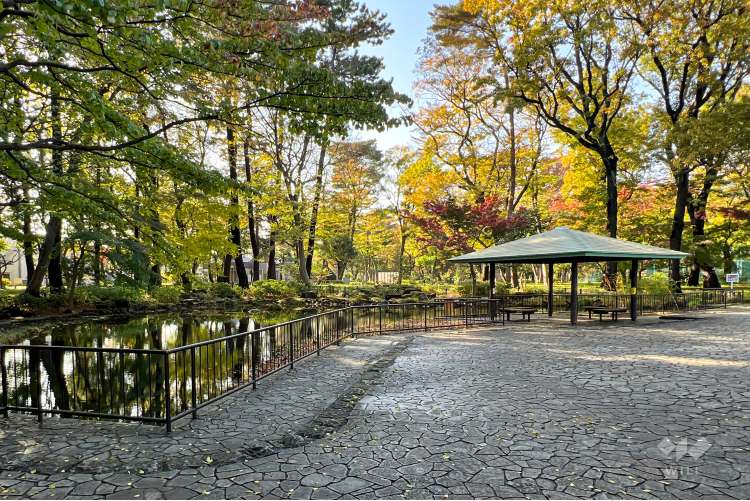 塚山公園の写真