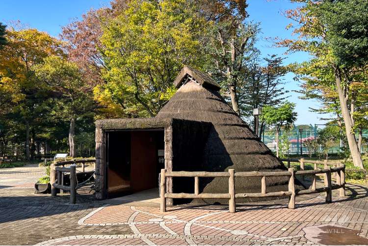 塚山公園の写真