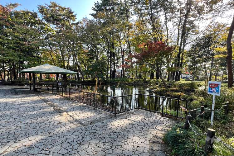 塚山公園の写真